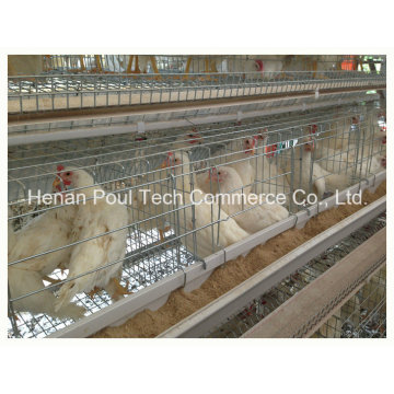 Poul Tech Layer Chicken Cage Wire Mesh (Geflügel Ausrüstung)